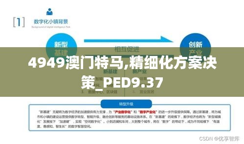 4949澳门特马,精细化方案决策_PED9.37