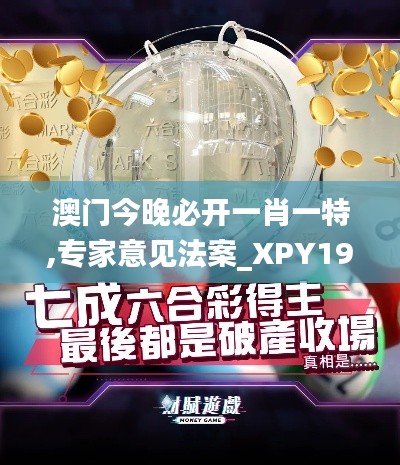 澳门今晚必开一肖一特,专家意见法案_XPY19.29