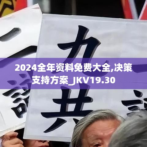 2024全年资料免费大全,决策支持方案_JKV19.30