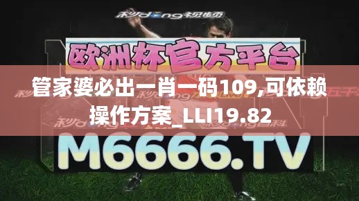 管家婆必出一肖一码109,可依赖操作方案_LLI19.82