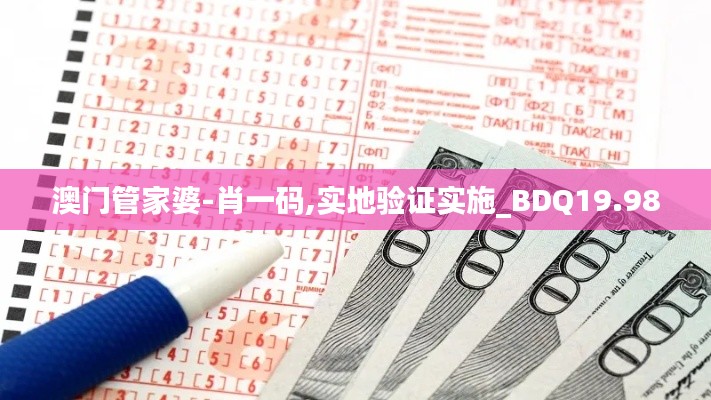 澳门管家婆-肖一码,实地验证实施_BDQ19.98