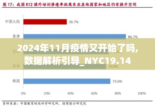 2024年11月疫情又开始了吗,数据解析引导_NYC19.14