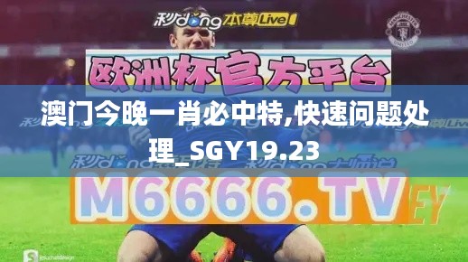 澳门今晚一肖必中特,快速问题处理_SGY19.23