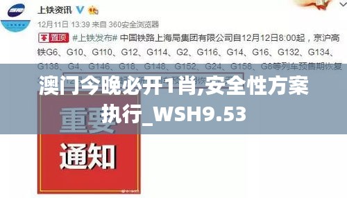 澳门今晚必开1肖,安全性方案执行_WSH9.53