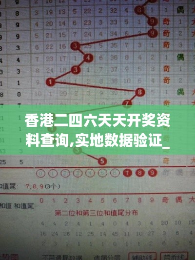 香港二四六天天开奖资料查询,实地数据验证_KAA9.33