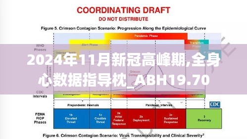 2024年11月新冠高峰期,全身心数据指导枕_ABH19.70