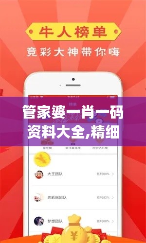 管家婆一肖一码资料大全,精细化实施分析_TLV9.29