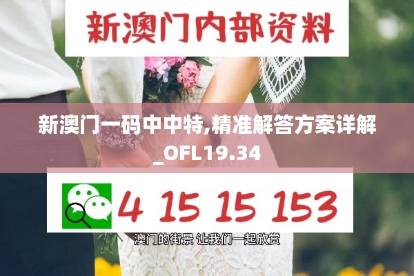 新澳门一码中中特,精准解答方案详解_OFL19.34