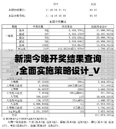 新澳今晚开奖结果查询,全面实施策略设计_VQG19.11