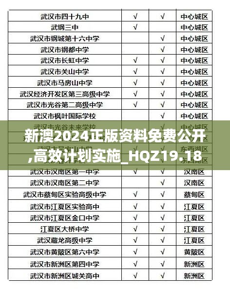 新澳2024正版资料免费公开,高效计划实施_HQZ19.18