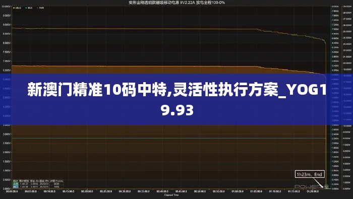 新澳门精准10码中特,灵活性执行方案_YOG19.93