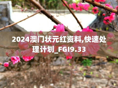 2024澳门状元红资料,快速处理计划_FGI9.33