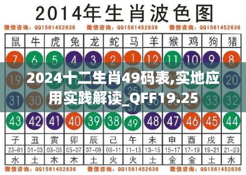 2024十二生肖49码表,实地应用实践解读_QFF19.25