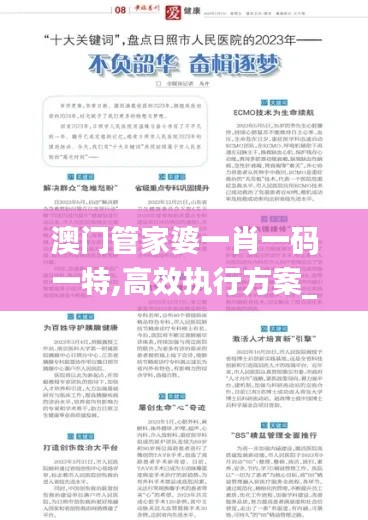 澳门管家婆一肖一码一特,高效执行方案_CEU19.20