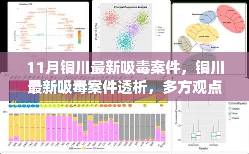 铜川最新吸毒案件透析，多方观点与个人立场探讨