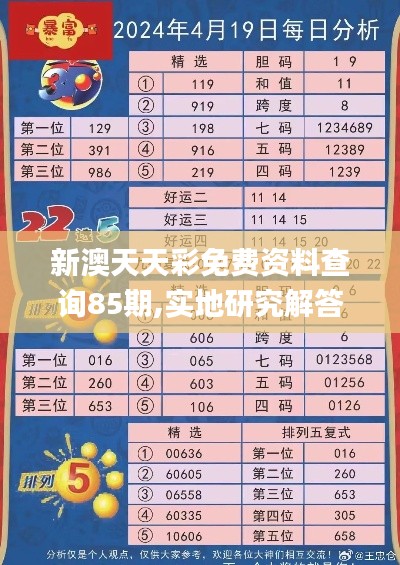 新澳天天彩免费资料查询85期,实地研究解答协助_CZQ19.23