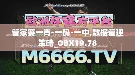 管家婆一肖-一码-一中,数据管理策略_OBX19.78