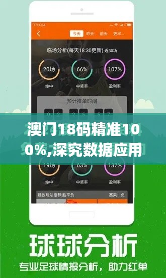 澳门18码精准100%,深究数据应用策略_FNZ9.53