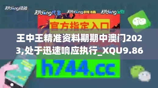 王中王精准资料期期中澳门2023,处于迅速响应执行_XQU9.86