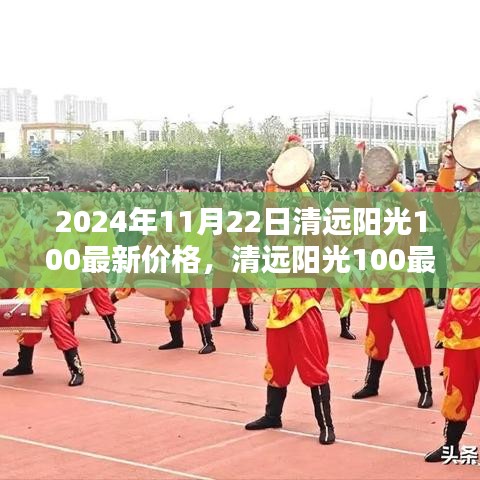 2024年11月22日清远阳光100最新价格，清远阳光100最新价格揭晓，深度解析未来价格趋势及影响因素