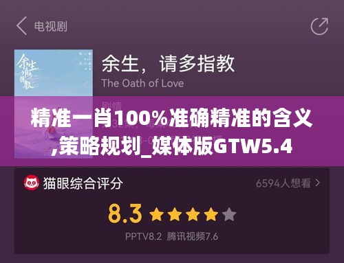 精准一肖100%准确精准的含义,策略规划_媒体版GTW5.4