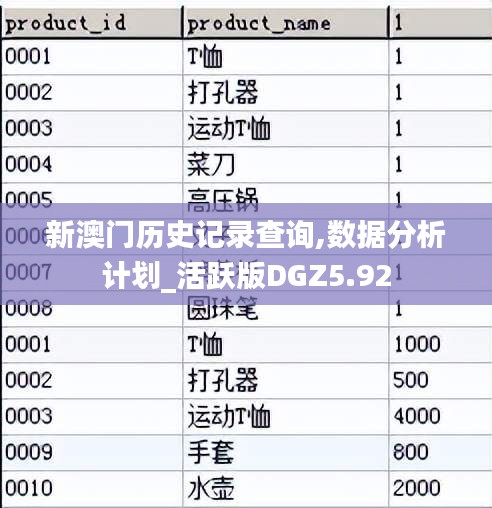 新澳门历史记录查询,数据分析计划_活跃版DGZ5.92