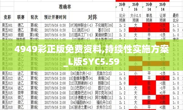 4949彩正版免费资料,持续性实施方案_L版SYC5.59