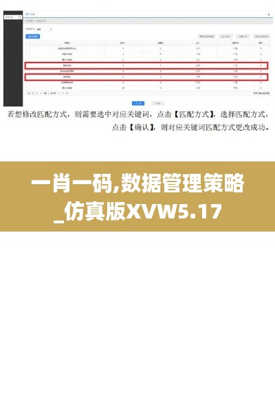 一肖一码,数据管理策略_仿真版XVW5.17