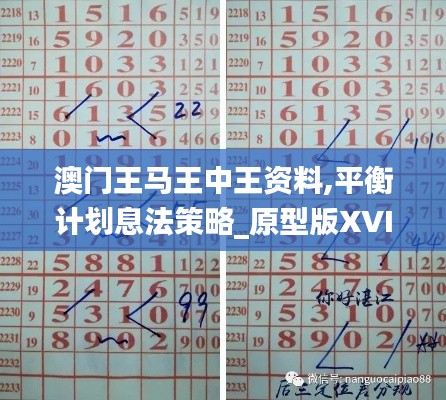 澳门王马王中王资料,平衡计划息法策略_原型版XVI5.82