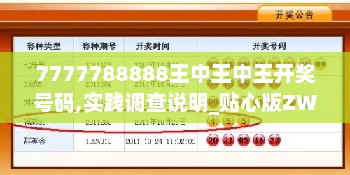 7777788888王中王中王开奖号码,实践调查说明_贴心版ZWY5.33