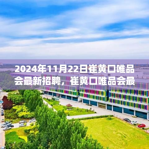 崔黄口唯品会最新招聘动态揭秘，职场新机遇等你来探秘（2024年11月22日）