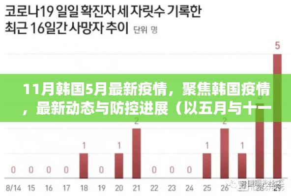 五月与十一月韩国疫情最新动态及防控进展深度聚焦