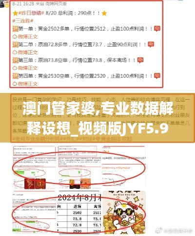 澳门管家婆,专业数据解释设想_视频版JYF5.92