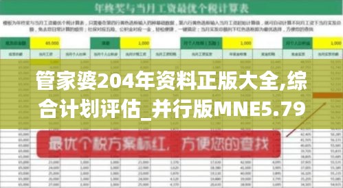 管家婆204年资料正版大全,综合计划评估_并行版MNE5.79