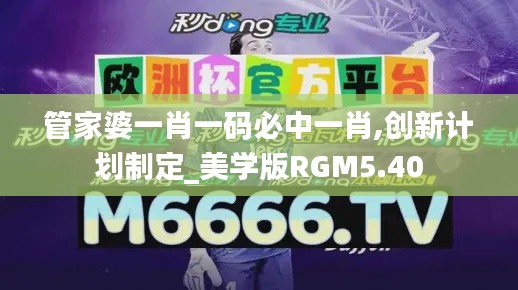 管家婆一肖一码必中一肖,创新计划制定_美学版RGM5.40