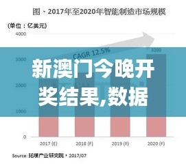 新澳门今晚开奖结果,数据整合解析计划_精选版TBF5.51