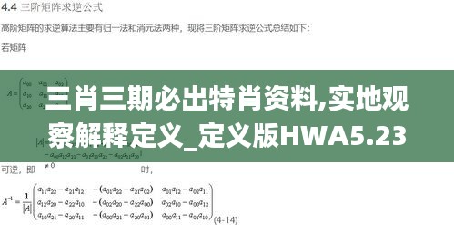 三肖三期必出特肖资料,实地观察解释定义_定义版HWA5.23