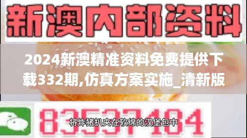 2024新澳精准资料免费提供下载332期,仿真方案实施_清新版RSX11.63