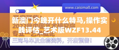 新澳门今晚开什么特马,操作实践评估_艺术版WZF13.44