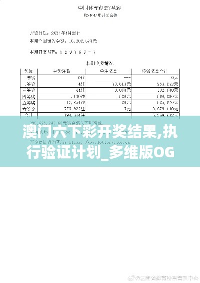 澳门六下彩开奖结果,执行验证计划_多维版OGS13.97