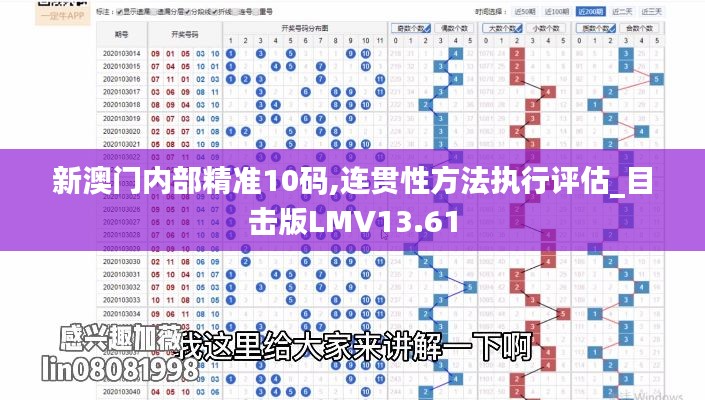 新澳门内部精准10码,连贯性方法执行评估_目击版LMV13.61