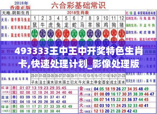 493333王中王中开奖特色生肖卡,快速处理计划_影像处理版AQQ13.82