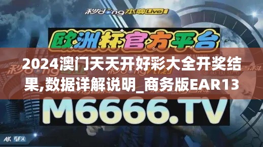 2024澳门天天开好彩大全开奖结果,数据详解说明_商务版EAR13.82