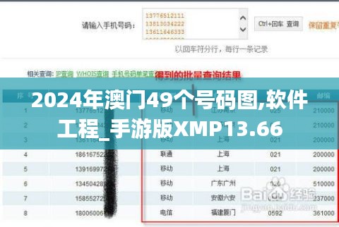 2024年澳门49个号码图,软件工程_手游版XMP13.66