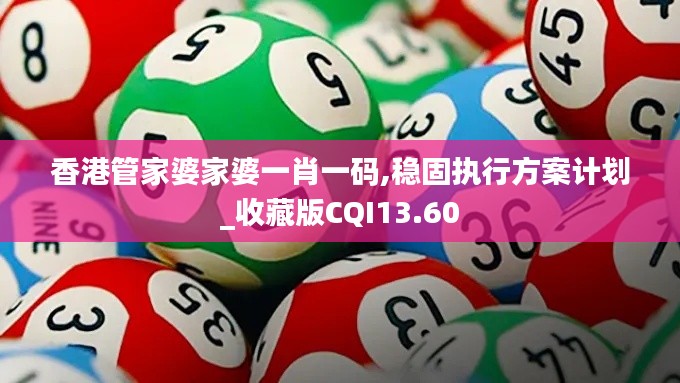 香港管家婆家婆一肖一码,稳固执行方案计划_收藏版CQI13.60