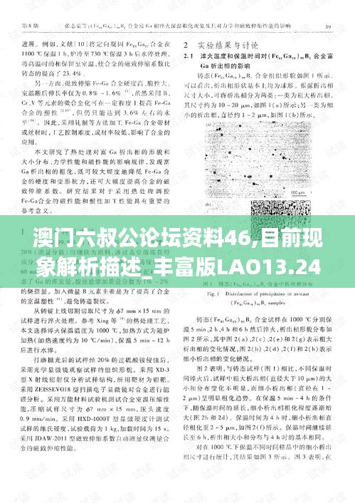 澳门六叔公论坛资料46,目前现象解析描述_丰富版LAO13.24