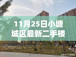 探秘小塘城区隐藏小巷的特色二手楼与神秘小店——最新房源出售