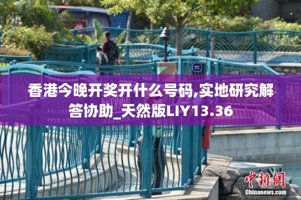 香港今晚开奖开什么号码,实地研究解答协助_天然版LIY13.36