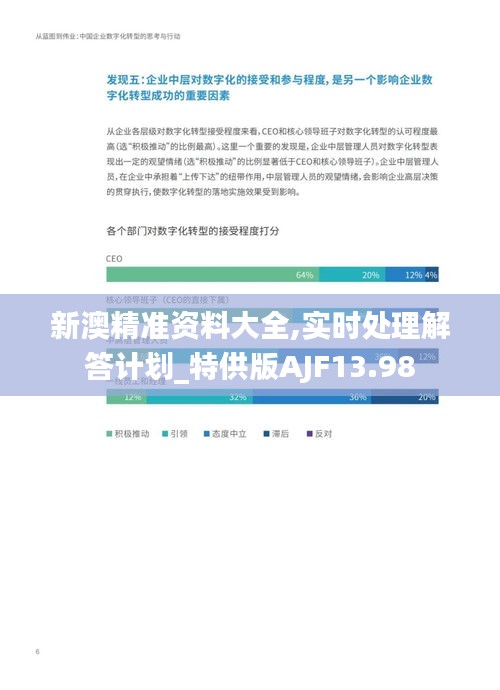 新澳精准资料大全,实时处理解答计划_特供版AJF13.98