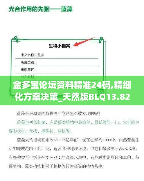 金多宝论坛资料精准24码,精细化方案决策_天然版BLQ13.82